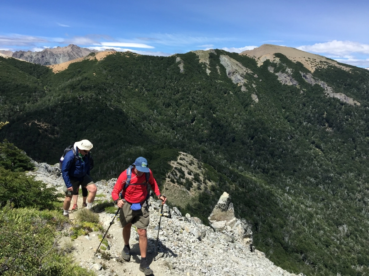 The Importance of Using Trekking Poles